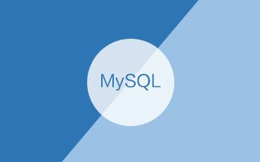 数据字典/字段介绍